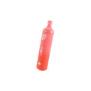 Puff Labs Boss Mesh TFN Disposable